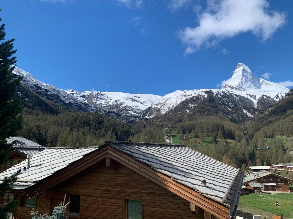 Matterhorn Panorama Apartment Zermatt Esterno foto